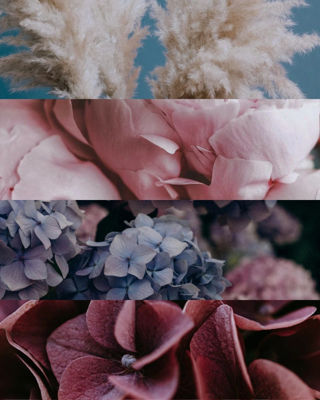 Bands of pampas grass, pink peonies, blue hydrangea and deep mauve blooms